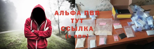 крисы Абдулино