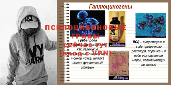 крисы Абдулино