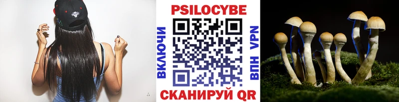 Галлюциногенные грибы Psilocybine cubensis  Саки 