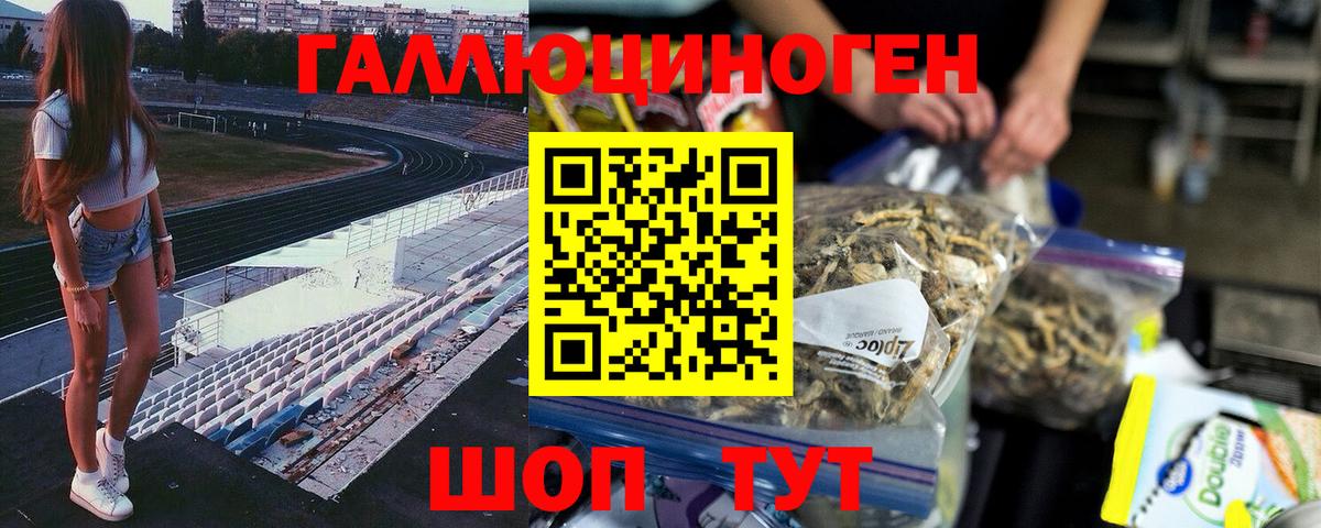 Псилоцибиновые грибы Psilocybine cubensis  Вход с VPN  Саки 