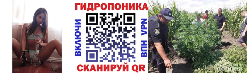 Канабис марихуана Саки